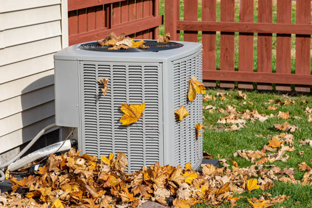 Air Quality Test in Leesburg, GA
